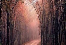 转播平台显示，国足客战沙特9元付费直播，日韩等场次同样付费.