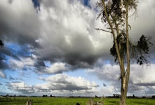 永生难忘！拉莫斯社媒晒93分钟绝平马竞AI漫画图片.