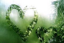 大发娱乐官网：马略卡中场为队友马菲奥辩护：我是皇马青训出来的，不想当坏人.