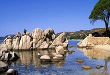 大发娱乐官网：记者：纽卡&狼队有意利物浦28岁左边锋若塔，后者想踢欧战.